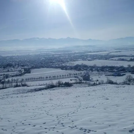 Tara Hategului Pensjonat *
